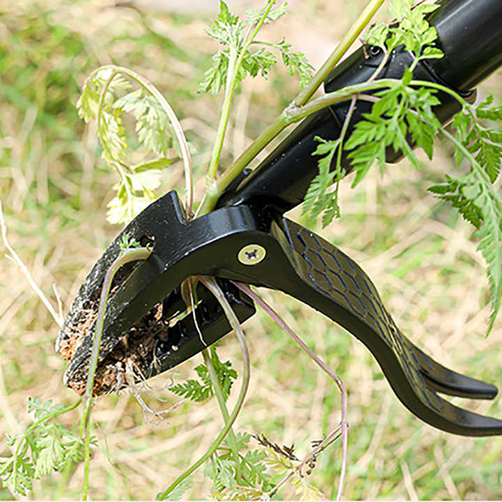 Extractor de maleza desmontable TK