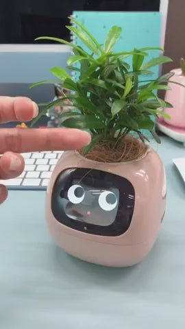 Macetas Inteligentes Interactivas